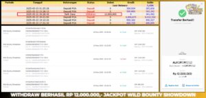 Read more about the article HAITOGEL SLOT BUKTI GACOR WILD BOUNTY SHOWDOWN RP. 12.000.000